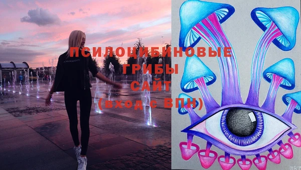соль ск Балабаново