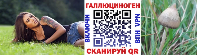 Псилоцибиновые грибы GOLDEN TEACHER цены Коммунар