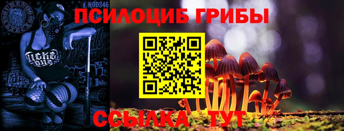 Коммунар  Псилоцибиновые грибы мухоморы  Вход с VPN 